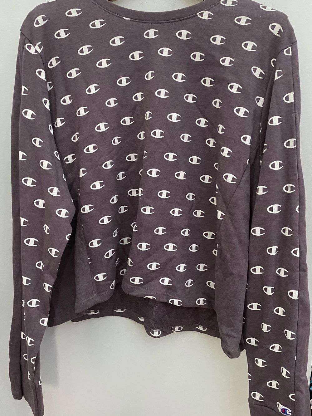 Women’s Champion Sweatshirt Size XXLarge, Brand NEW